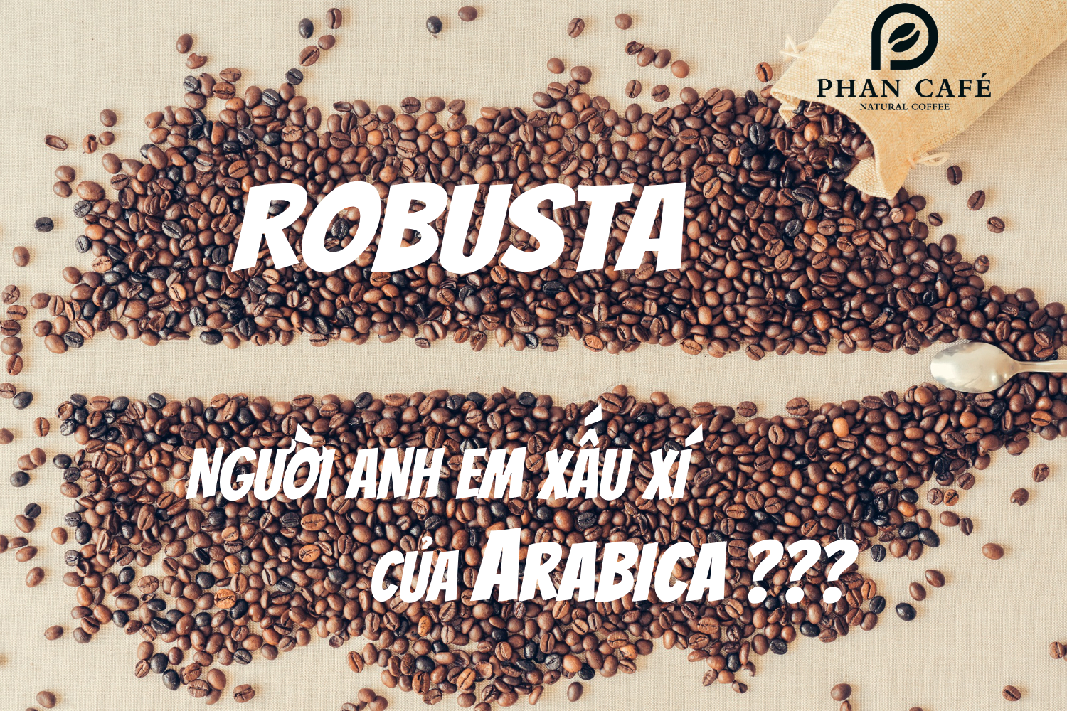 Arabica & Robusta